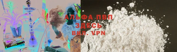 дмт Магас