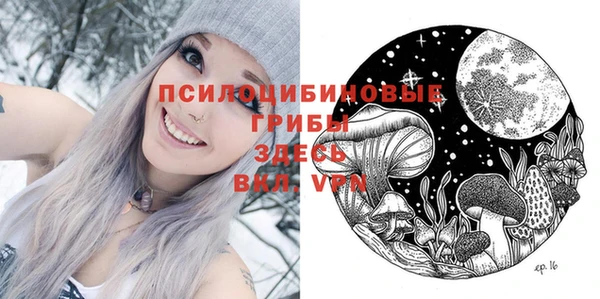 дмт Магас