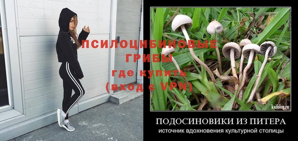 дмт Магас