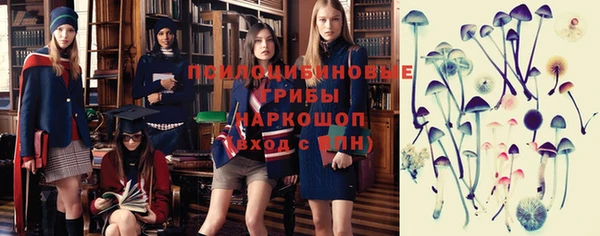 дмт Магас