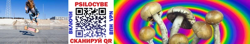 Псилоцибиновые грибы Cubensis  Купить  Кинешма 